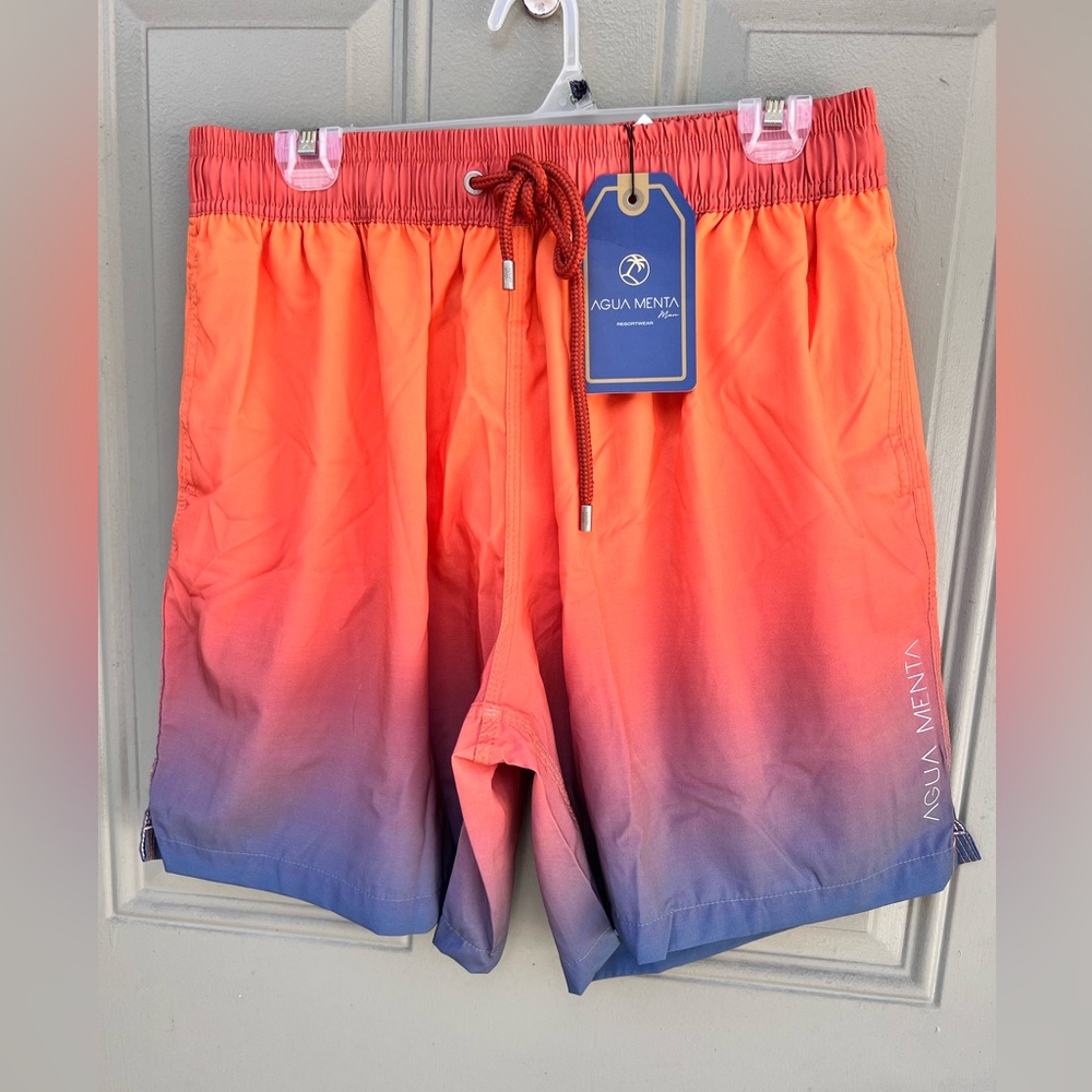Agua menta men bathing suit